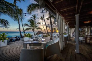 Отель Catalonia Royal La Romana - Adults Only Доминикана, Байяибе, фото 11