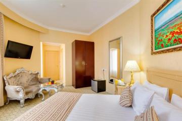 Отель Vnukovo Village Park Hotel & Spa Россия, Москва, фото 6