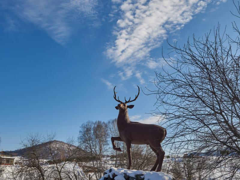 Altai Palace Гостиничный Комплекс
