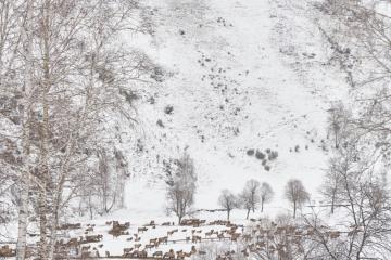 Отель Altai Palace Гостиничный Комплекс Россия, Алтайский край, фото 31