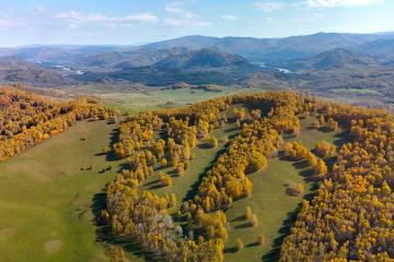 Отель Altai Palace Гостиничный Комплекс Россия, Алтайский край, фото 5
