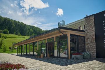 Отель Altai Palace Гостиничный Комплекс Россия, Алтайский край, фото 67