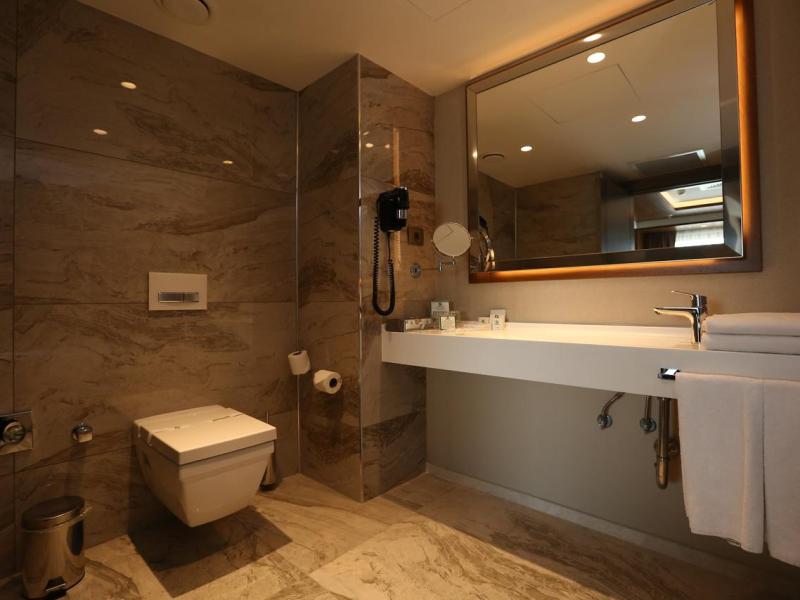 Holiday Inn Kayseri - Duvenonu