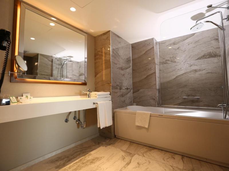 Holiday Inn Kayseri - Duvenonu