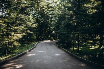 Отель Аврора Парк Отель Россия, Владивосток, фото 18
