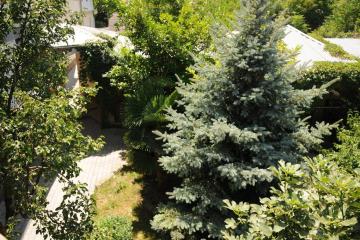 Отель К&Т гостевой дом Россия, Севастополь, фото 29