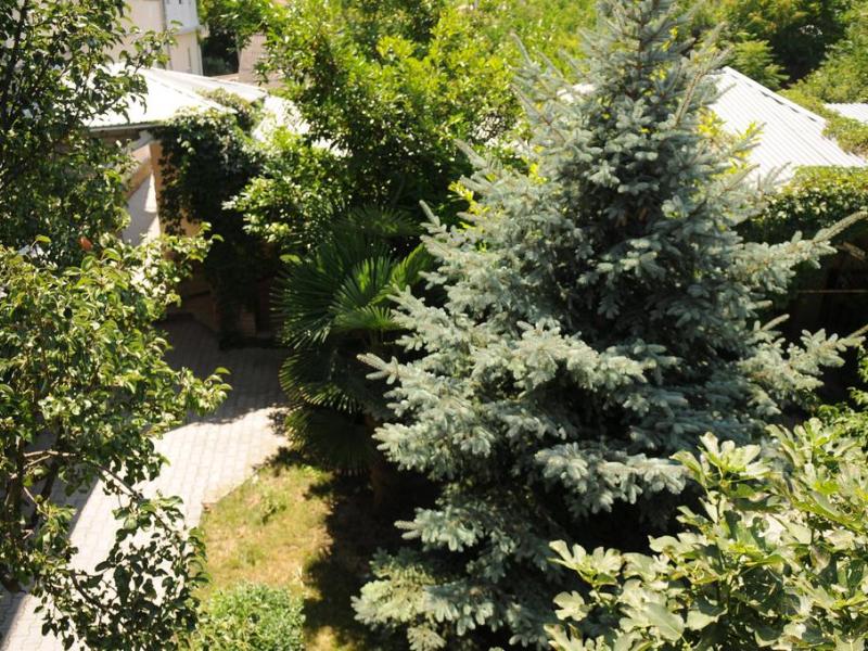 К&Т гостевой дом