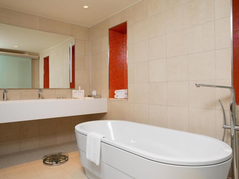 Cosmos Selection Moscow Sheremetyevo Airport Hotel