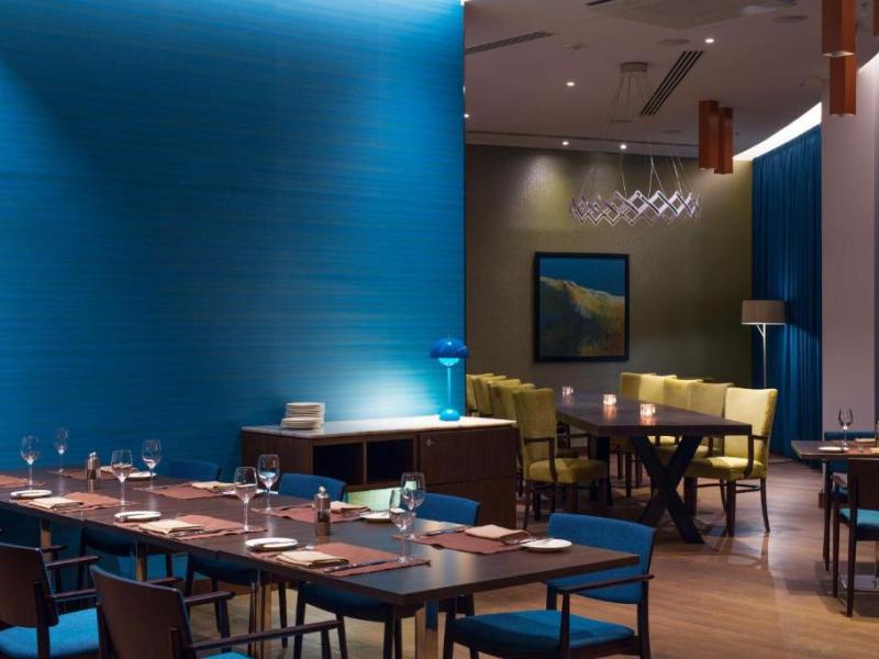 Cosmos Selection Moscow Sheremetyevo Airport Hotel