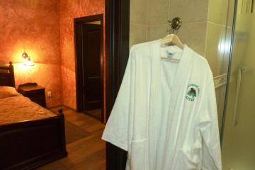 Отель Алтай Гостиный двор Россия, Горно-Алтайск, фото 12