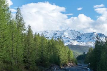 Отель Алтай Гостиный двор Россия, Горно-Алтайск, фото 4