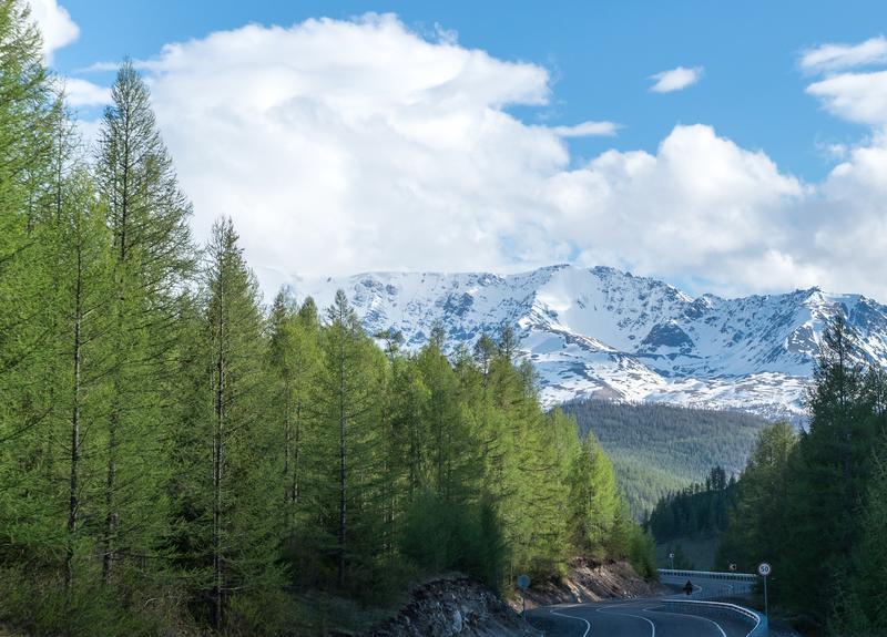 Алтай Гостиный двор