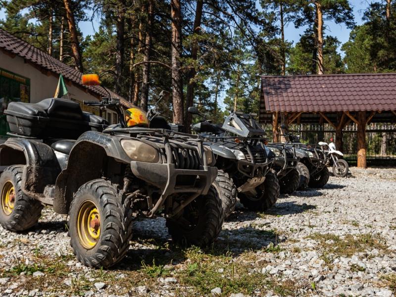 Чайка Парк-отель