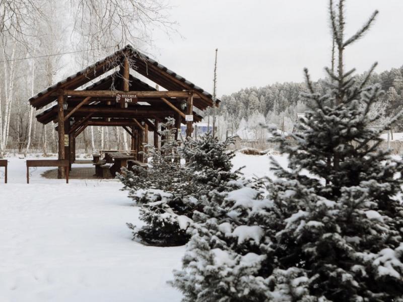 Чайка Парк-отель