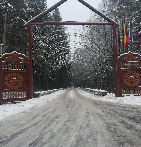 Лесная Сказка