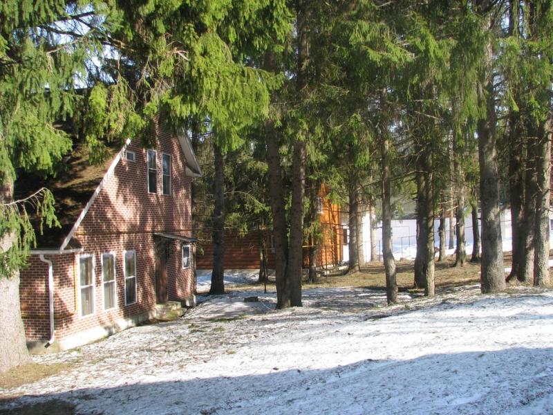Лесная Сказка