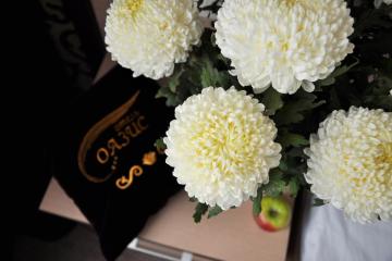 Отель Отель Оазис (ул. Зиповская) Россия, Краснодар, фото 15