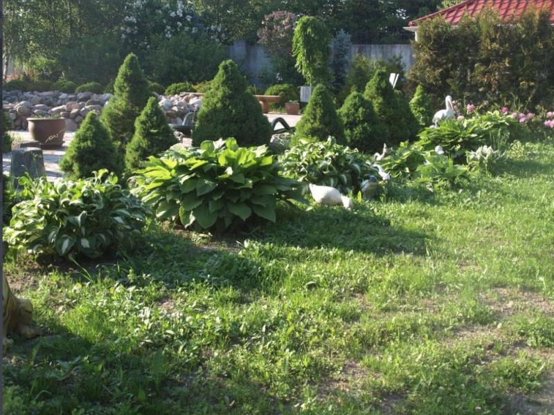 Кенигсхоф Гостевой Дом (Моховое)