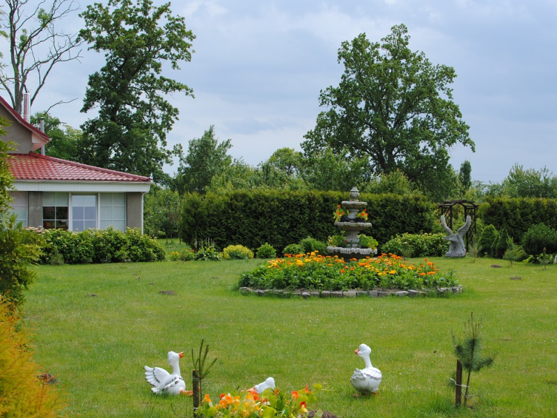 Кенигсхоф Гостевой Дом (Моховое)