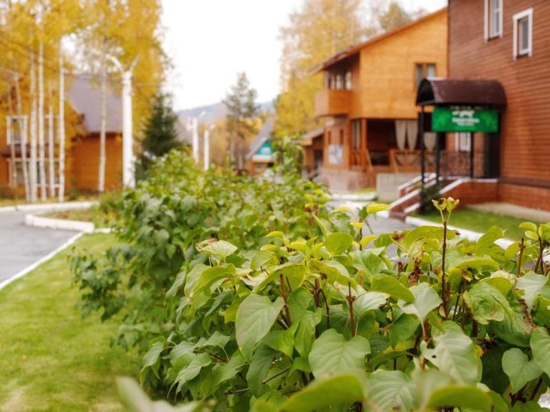 Белый Соболь