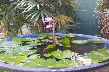 Отель Coral Palm Villa & Apartment Шри-Ланка, Унаватуна, фото 21