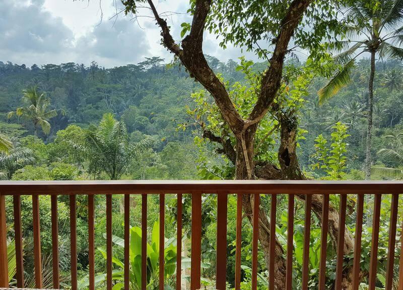 Padma Resort Ubud