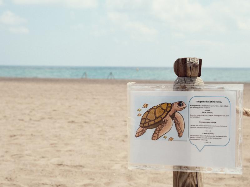 Crystal Paraiso Verde Resort & Spa