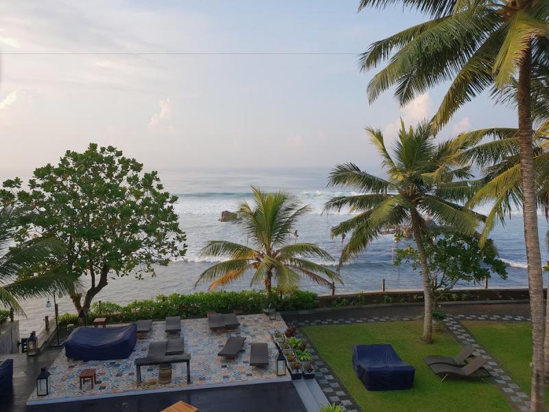 Owl and the Pussycat Hotel