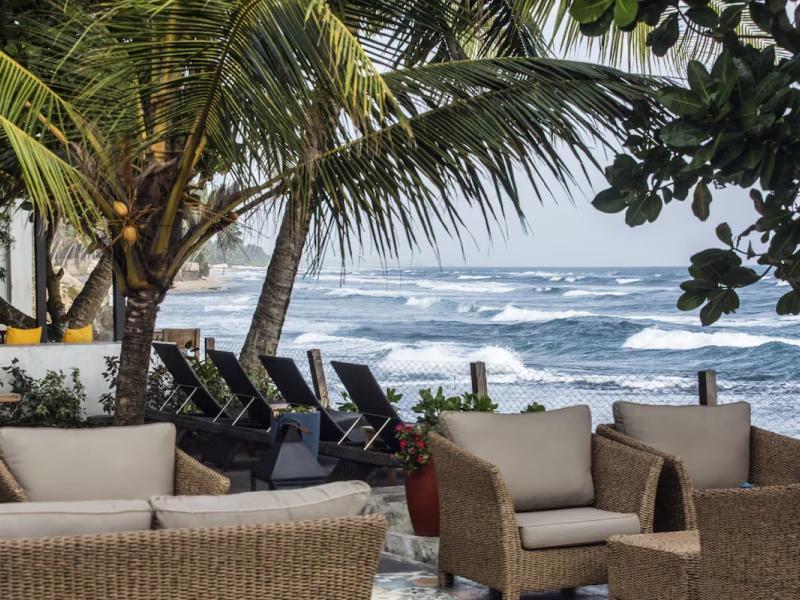 Owl and the Pussycat Hotel