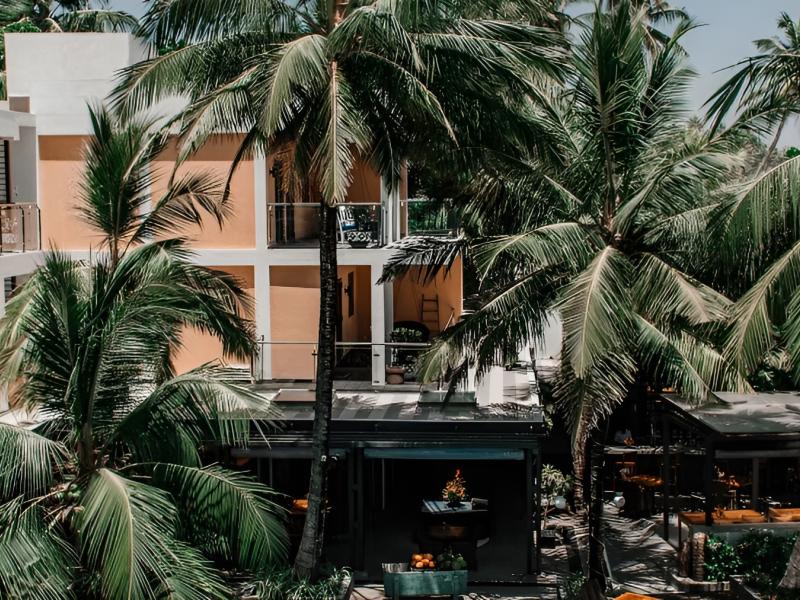 Owl and the Pussycat Hotel