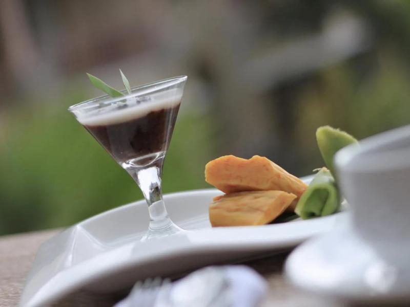 The Udaya Resorts and Spa