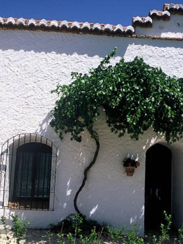 Cuevas Pedro Antonio De Alarcon