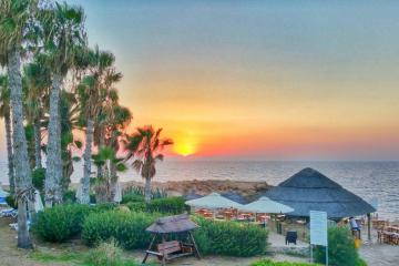 Отель Cynthiana Beach Hotel Кипр, Пафос, фото 10