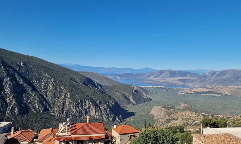 Apollonia