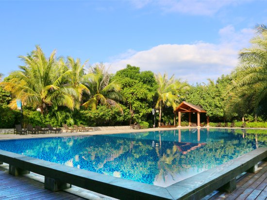 Fineland Begonia Holiday Apartment