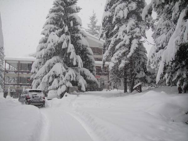Tofana Hotel