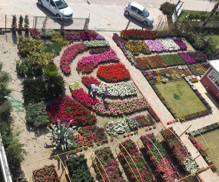 Moda Marine Residence