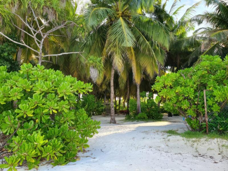 Nazaki Residences Beach Hotel