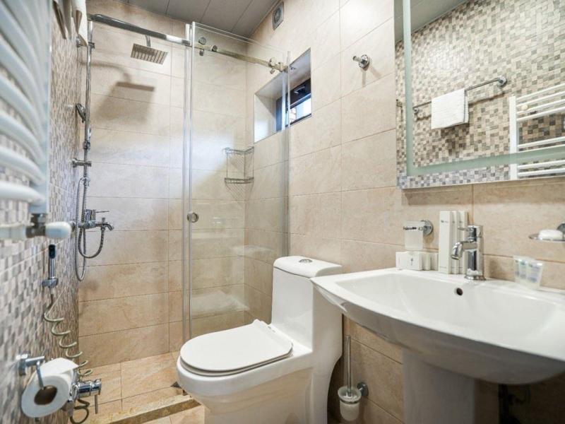 1 Hotel Borjomi