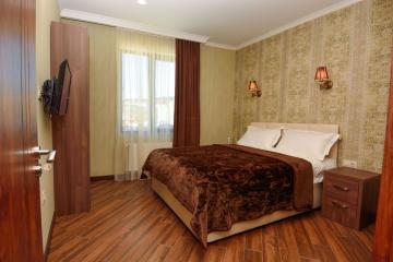 Отель King David Грузия, Бакуриани, фото 3