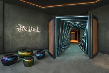 Отель W Dubai - The Palm ОАЭ, Палм Джумейра, фото 3