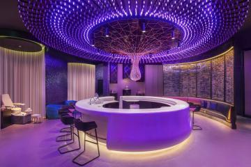 Отель W Dubai - The Palm ОАЭ, Палм Джумейра, фото 7