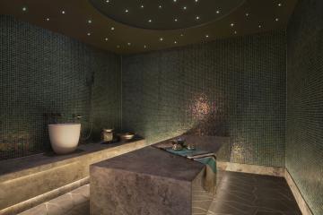 Отель W Dubai - The Palm ОАЭ, Палм Джумейра, фото 8