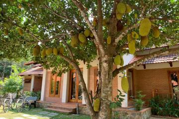 Отель The Garden House Resort Вьетнам, Фукуок, фото 28