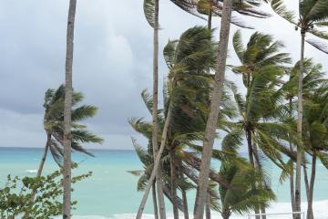 Отель Grand Blue Beach Hotel Филиппины, о Боракай, фото 14