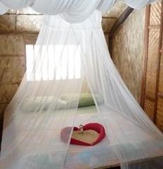Отель Amami Beach Resort Филиппины, о Миндоро, фото 25