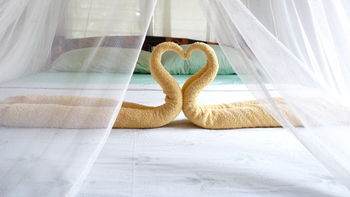 Отель Amami Beach Resort Филиппины, о Миндоро, фото 39