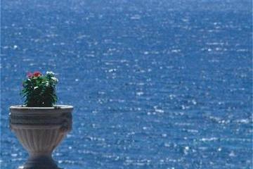 Отель Danai Beach Resort & Villas Греция, Халкидики-Ситония, фото 4