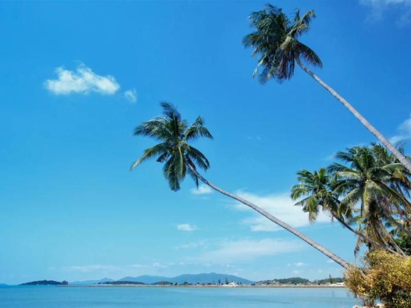 Bondi Hotel Samui