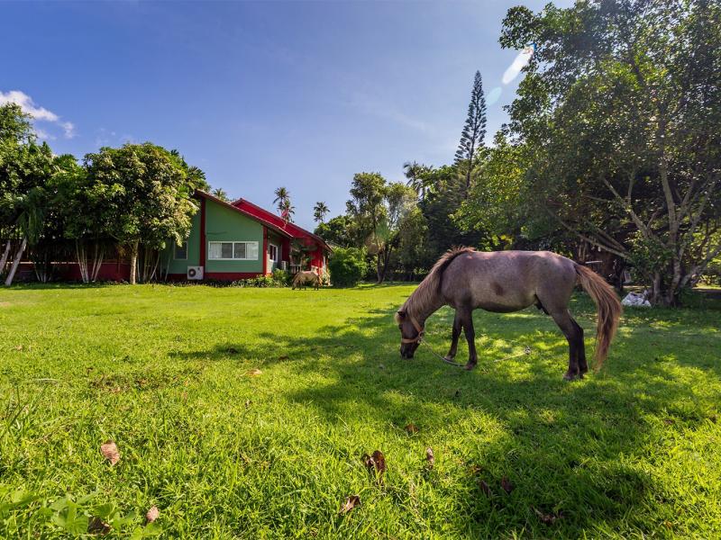 Fisherman Way Beach Villa